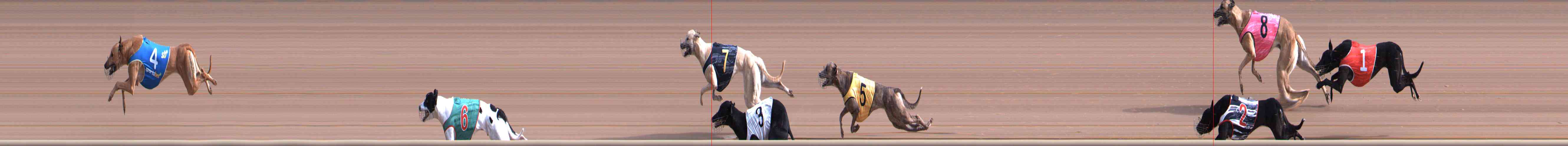 Race result finish photo